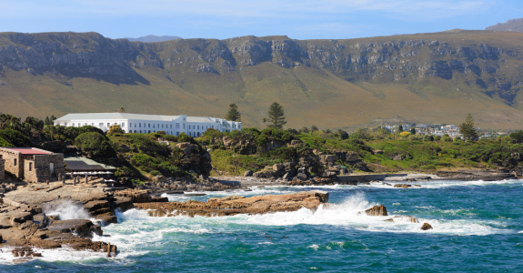 Layers of Hermanus : A Winter Story